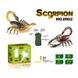 Скорпион на радиоуправлении, игрушка жук радиоуправляемый. 8902 фото 1
