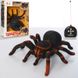 Павук Тарантул 29 см на радіокеруванні, іграшка паук на батарейках і пульту 781, KI-3020 фото 2