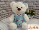 М'яка іграшка Ведмедик у сукні (ведмідь, ведмежа) 33 см B1014 фото 3