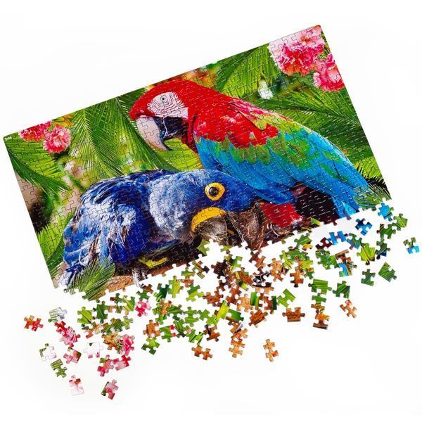 Vladi Toys DT500-01 - Пазл Птахи Папуги для дорослих і дітей на 500 деталей