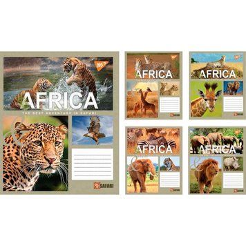 1 Вересня 763833 - Зошит шкільний, А5 на 48 аркушів, лінійка, SAFARI, ціна за паковання 10 штук, 763833