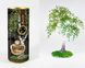 Набор для творчества Бисерное дерево своими руками, микс видов, Украина ДТ-ОО-09-38 фото 4